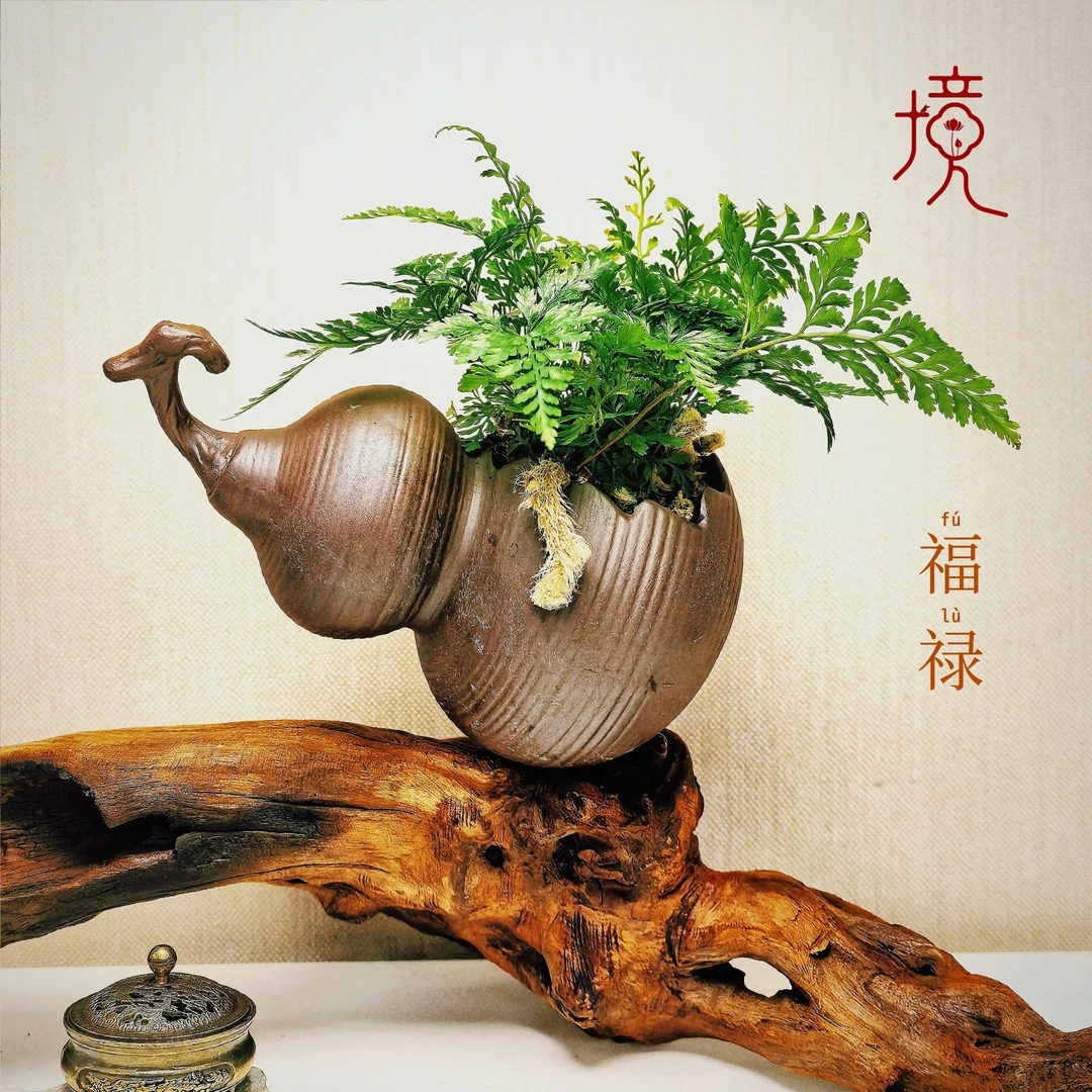 [福禄]狼尾蕨创意真绿植家庭办公室桌面中式轻奢活摆件14*9*11cm