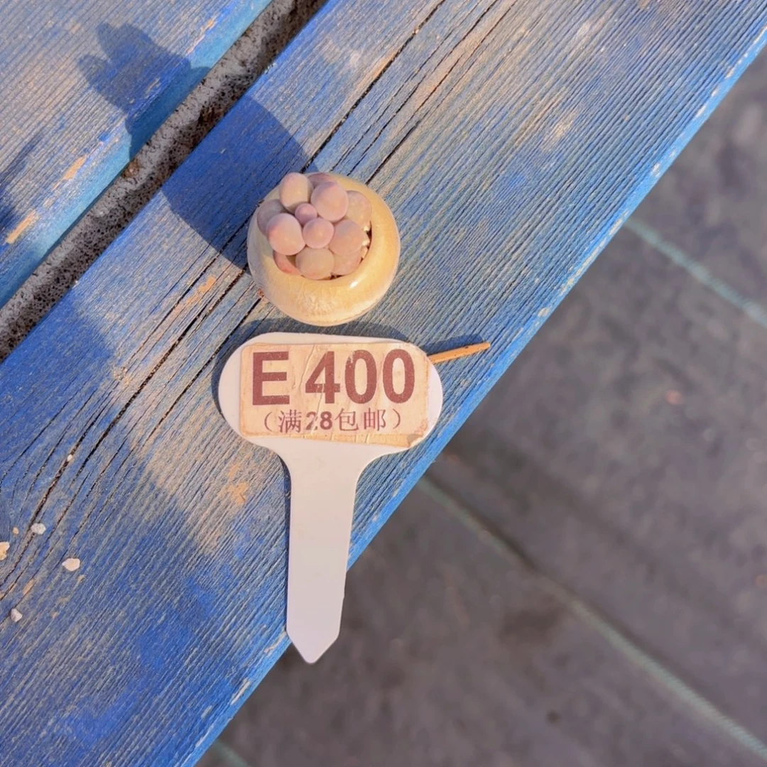 木***三E400汤圆一物一拍