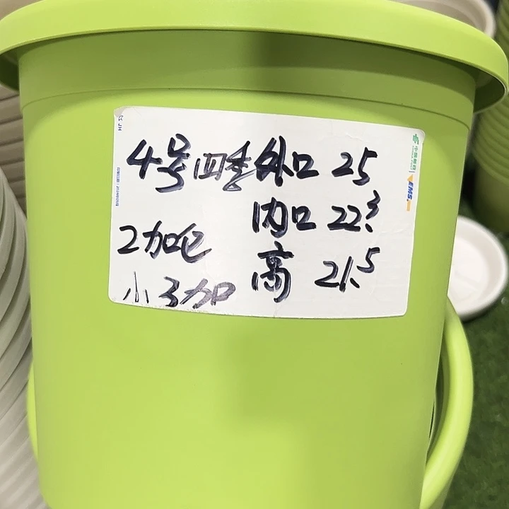 特价4号四季口25高21.5果绿六只带托