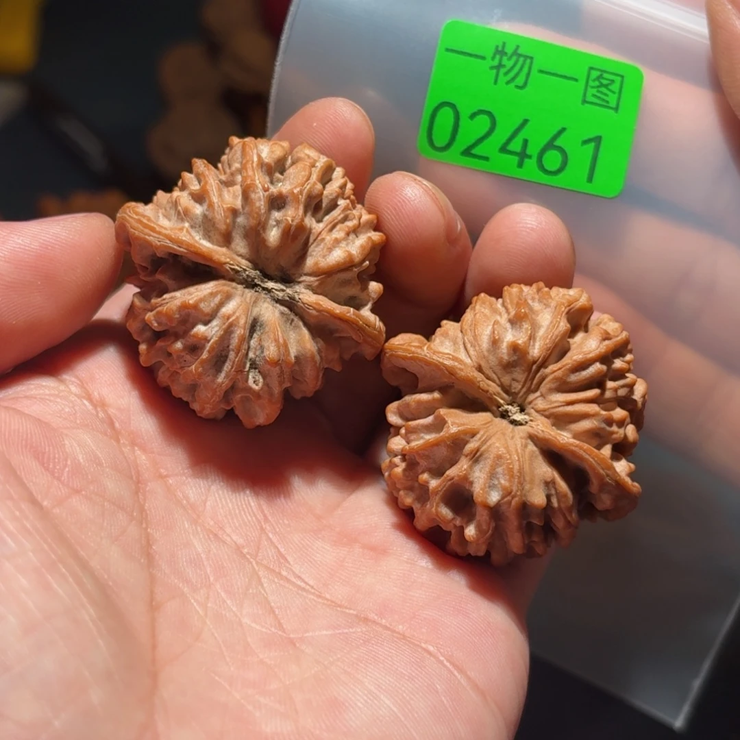 把件文玩核桃红珊瑚