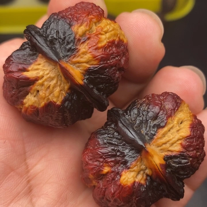 吊坠文玩核桃38 蝴蝶