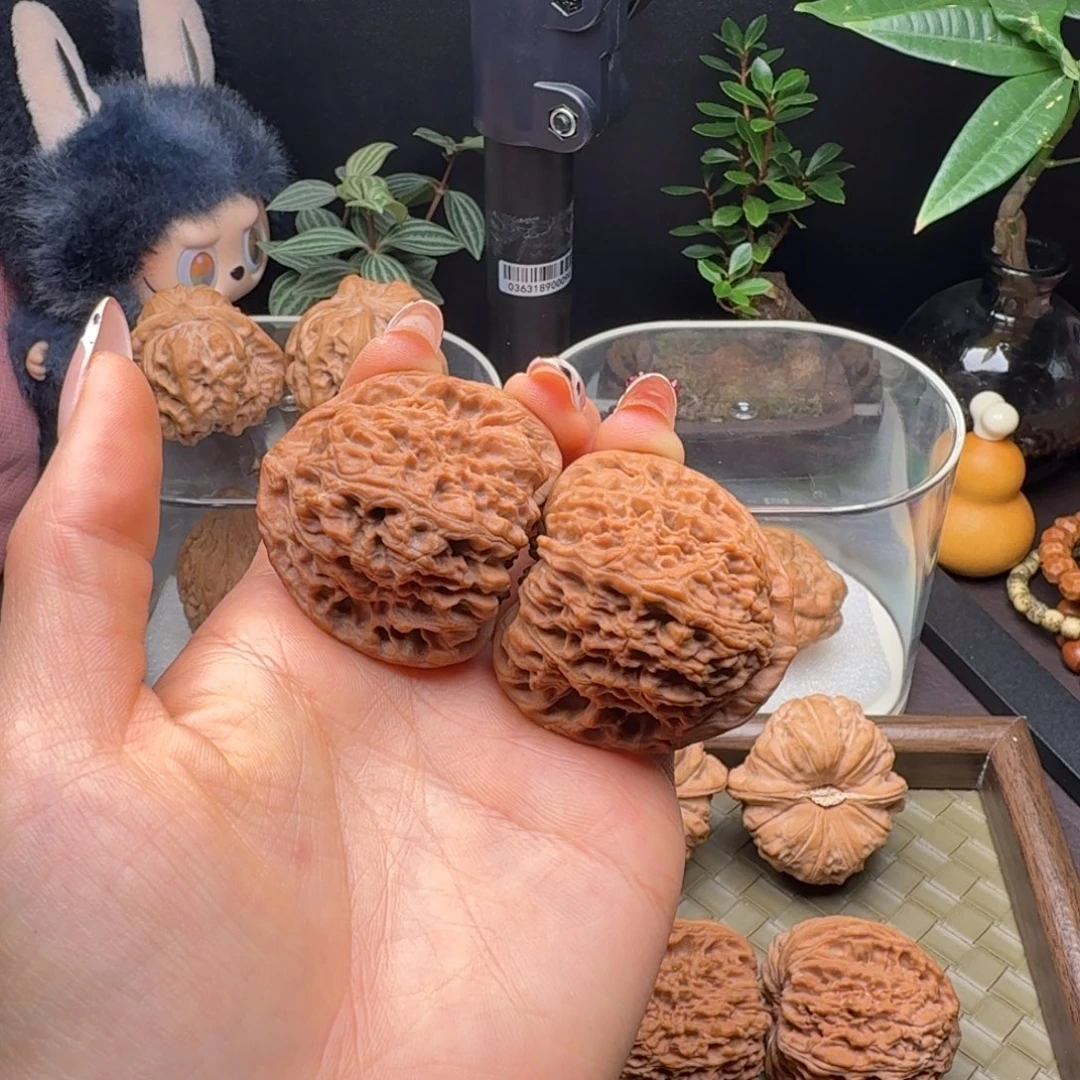 把件龙脊菩提全品三角疆42