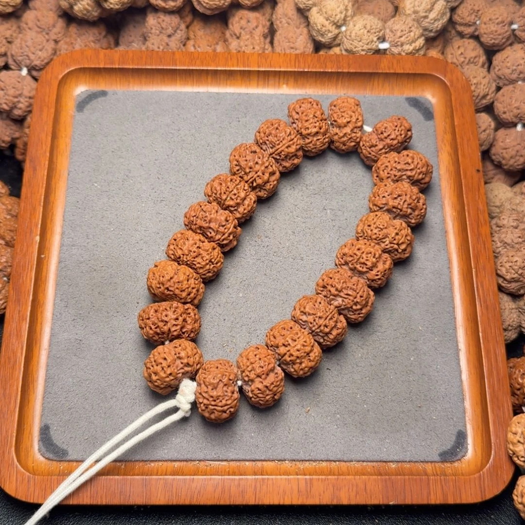 17号尼泊尔大金刚23五星梅花蜂窝夹板手持