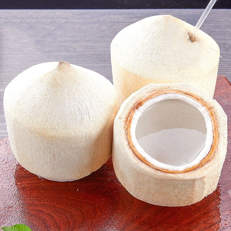 泰国香水椰青大果奶香椰青新鲜水果当季水果2个4斤±整件