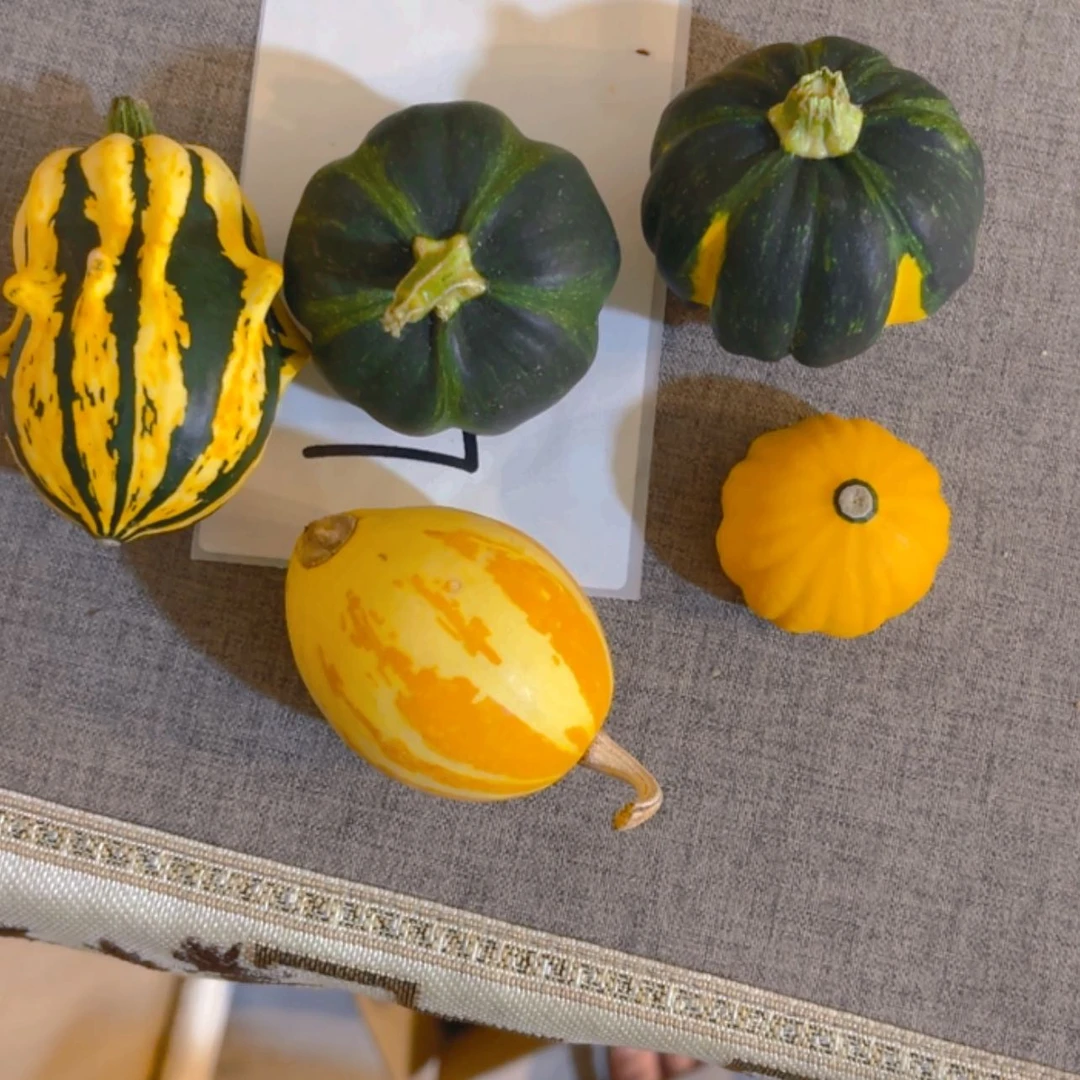 【闪购商品】L*y哈哈哈哈哈哈哈哈哈