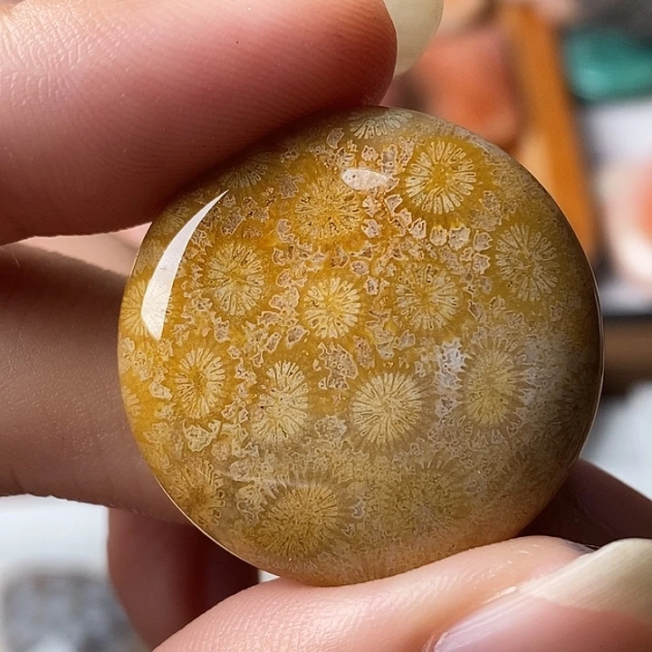 慈***心硅化玉未镶嵌颈饰