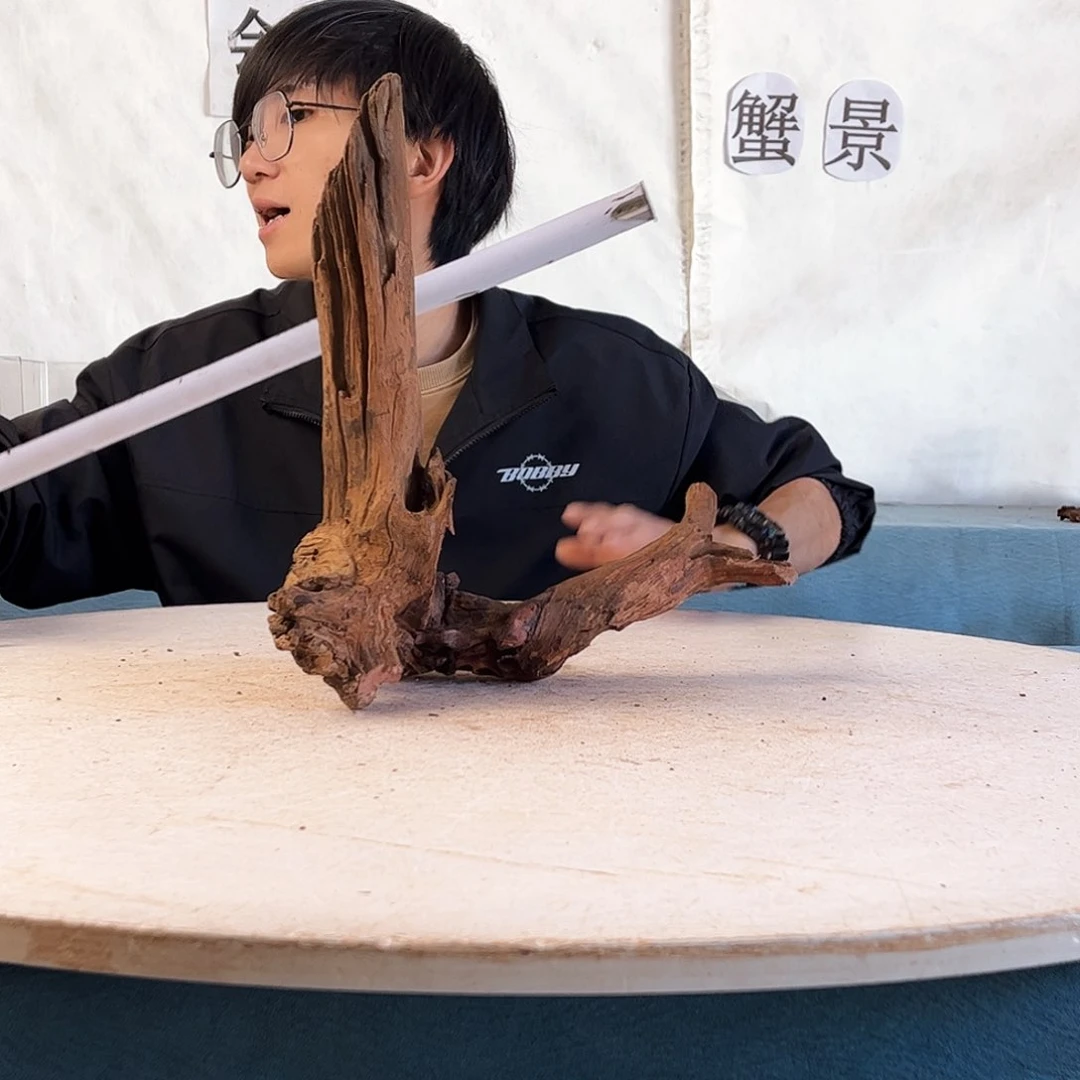 30.20.32 沉木造景爬宠造景