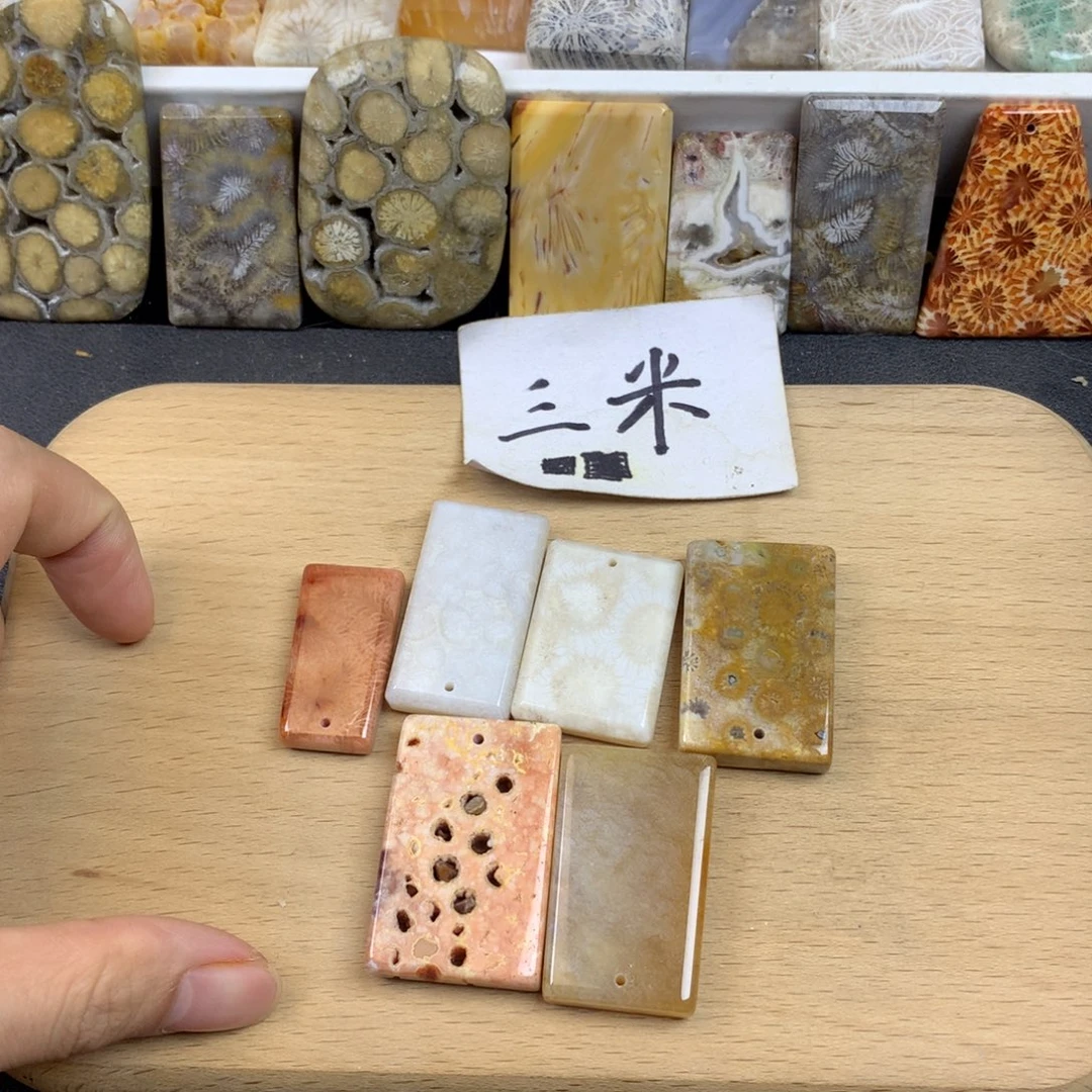 抱***贝硅化珊瑚（珊瑚玉）未镶嵌五