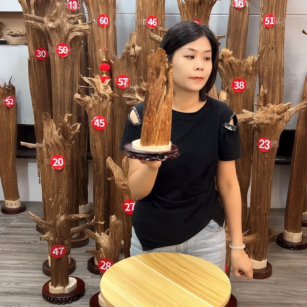 沉香沉香碎屑沉香