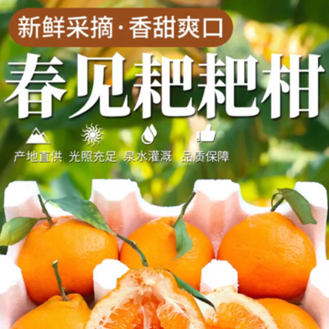【曲布和桂花 专属 】四川春见耙耙柑4.5/8斤（京东快递）