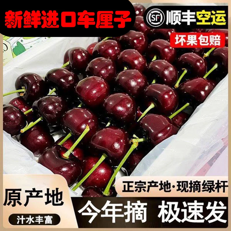 4J五斤巨无霸果王进口车厘子现采现摘J/2-5斤空运车厘子孕妇水果