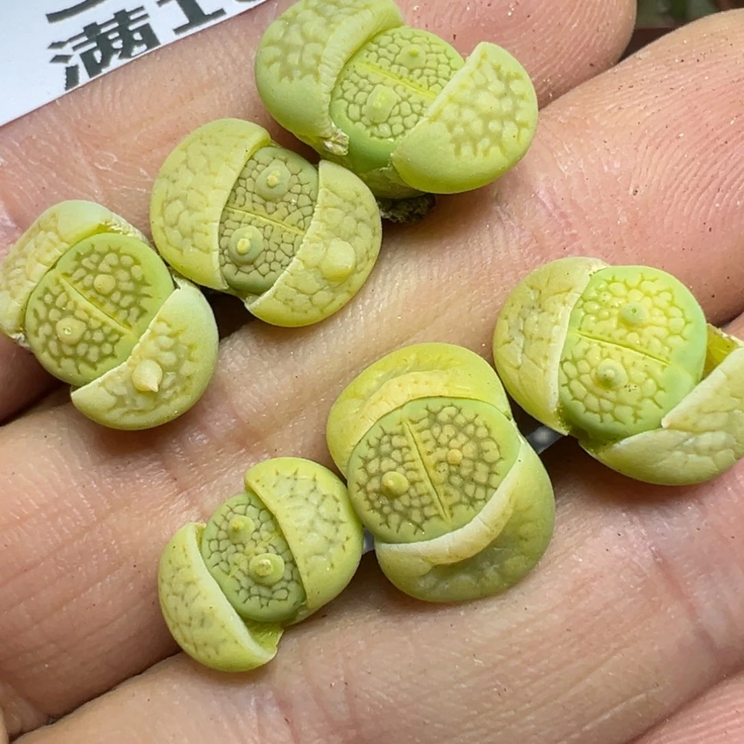【闪购商品】 344。