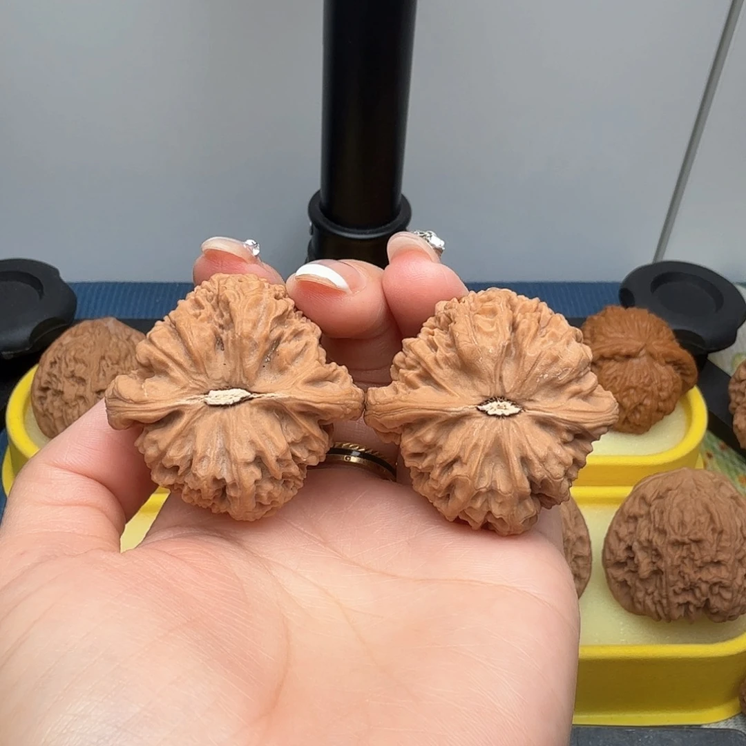 三***冰全品无修、、、、、、、、