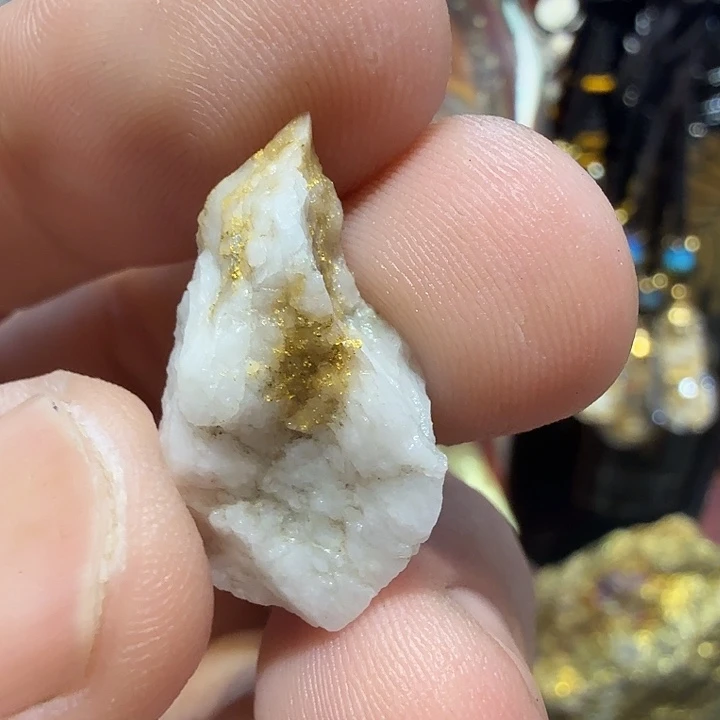 聚金阁的自然金标本