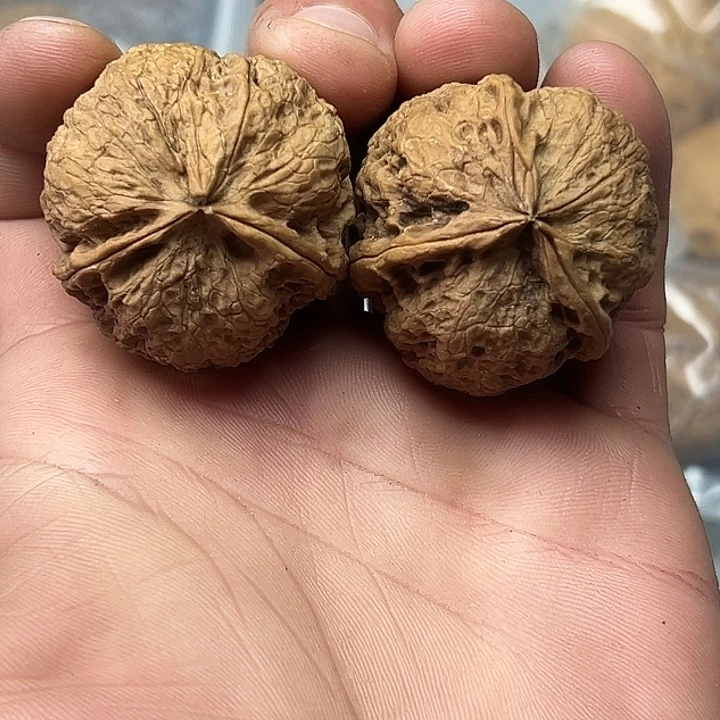 核桃68号异形三福利38尺