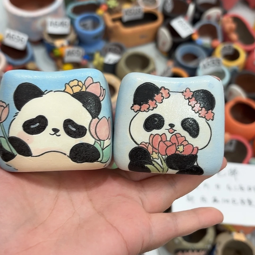 静心。手工手绘多肉花盆