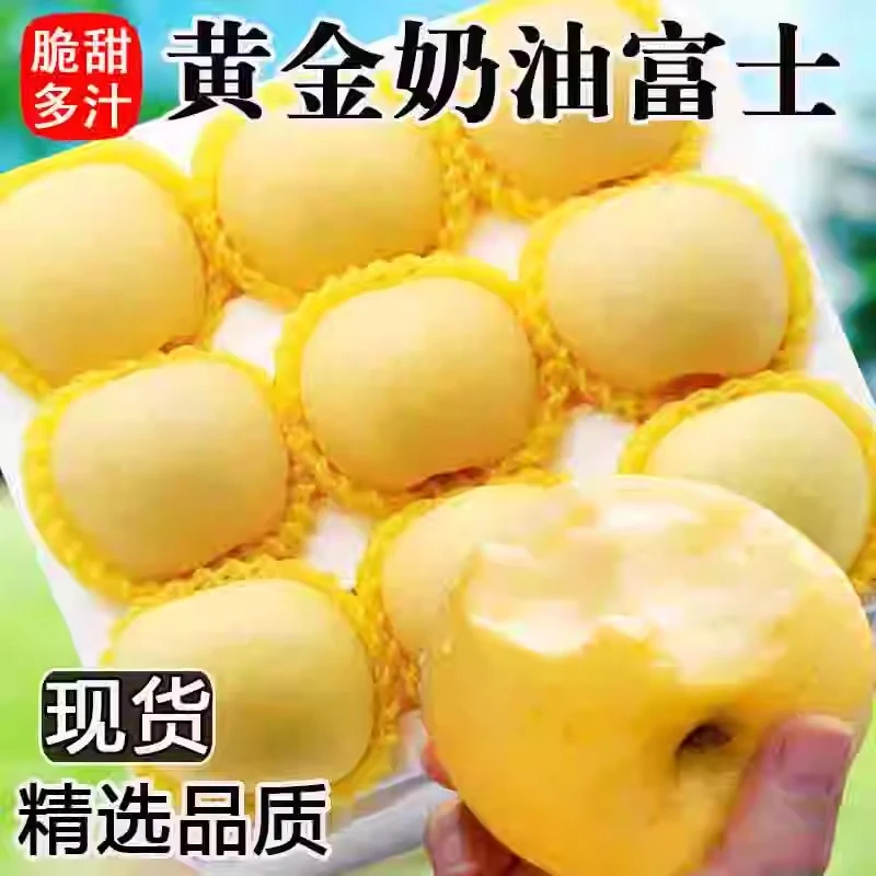 山东烟台奶油苹果奶油富士山东栖霞新鲜水果酸脆多汁