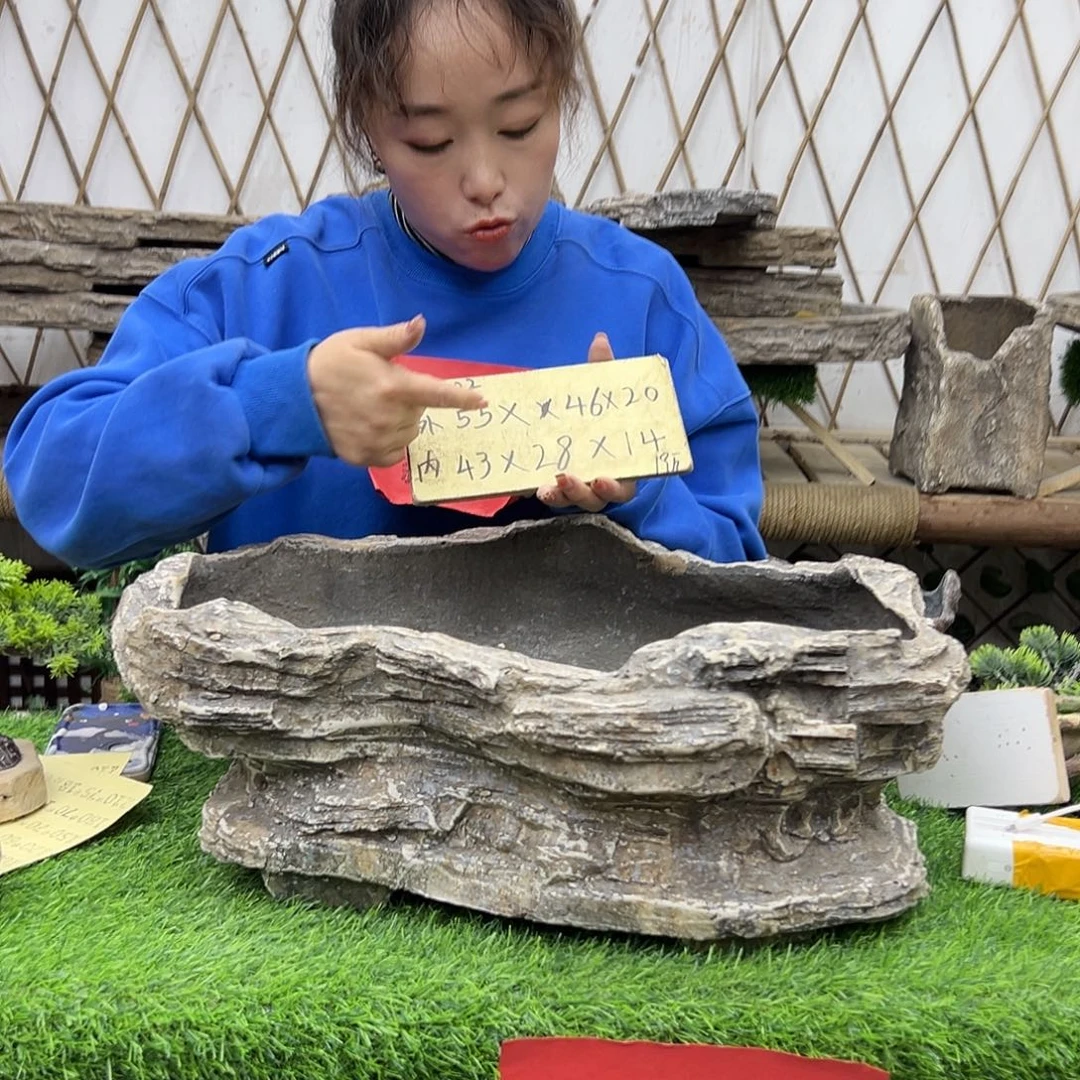 盆景异性花盆鱼缸p8-002