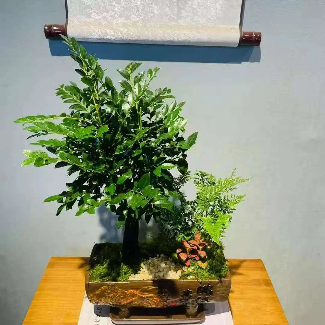 鹏程万里紫沙单杆造景黑骨茶