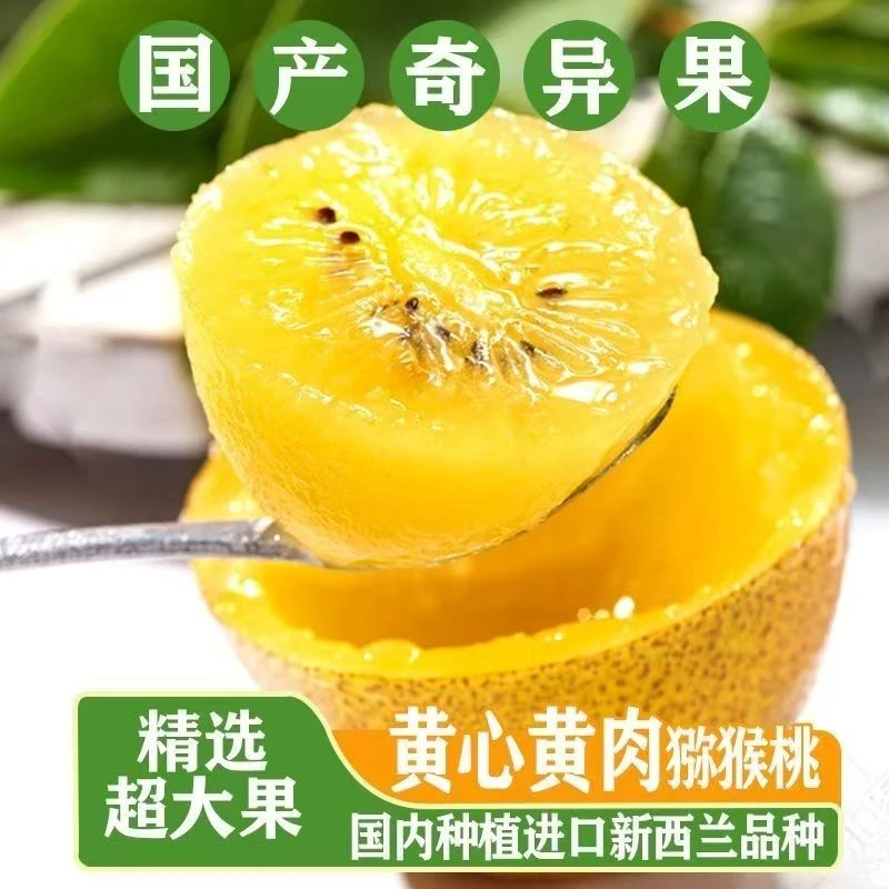 【阳光金果顺丰京东包邮】新西兰进口品种国产黄心猕猴桃奇异果