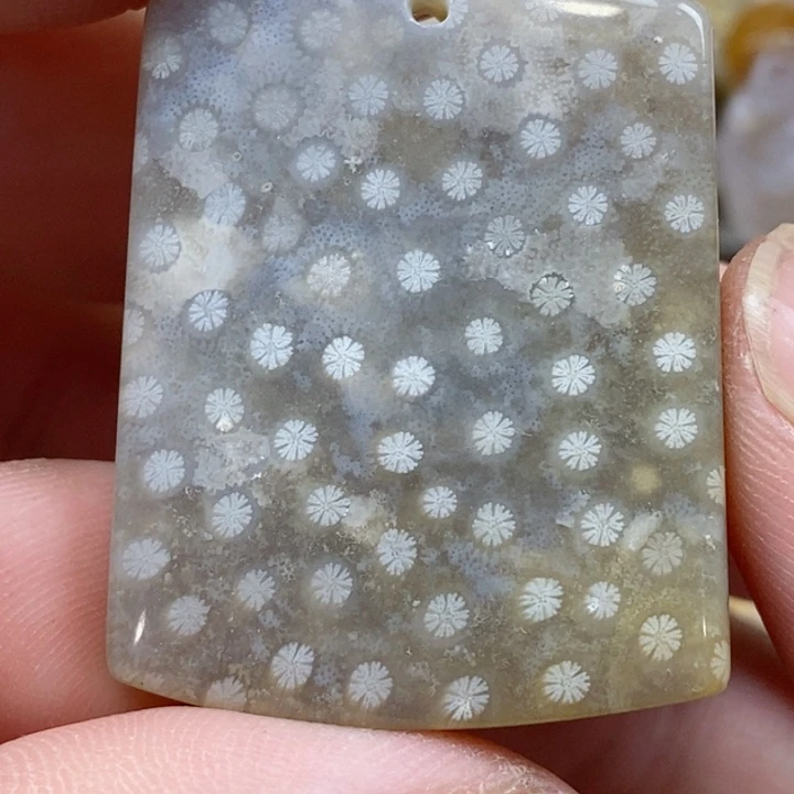 颈饰未镶嵌硅化珊瑚（珊瑚玉）