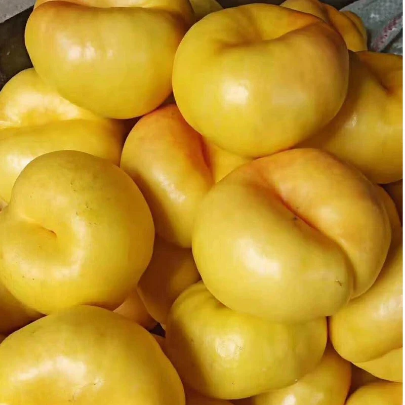 【平谷鲜桃】黄油蟠桃 脆甜多汁二斤当季新鲜水果桃子北京市