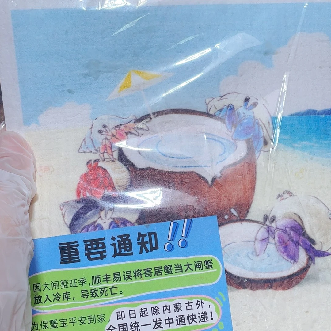 周边木浆抹布一块