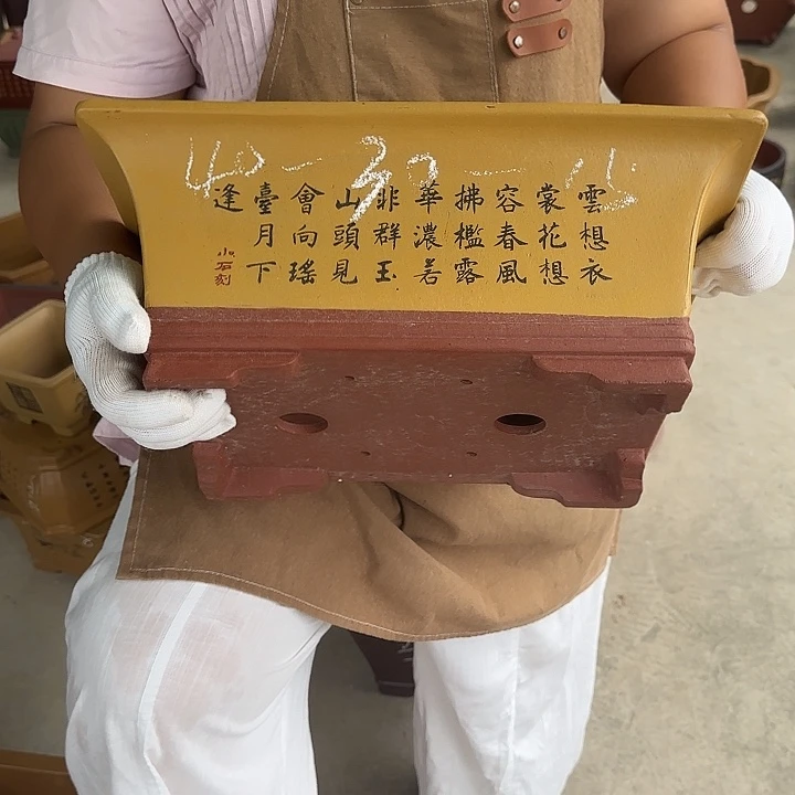不敢想啊想我没有呢