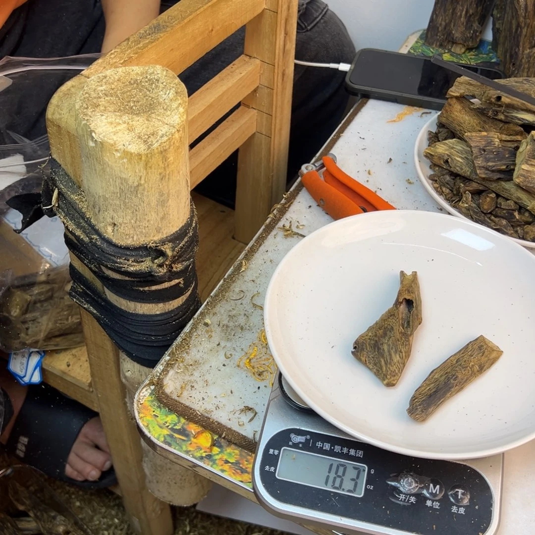线香奇楠虫漏香18克