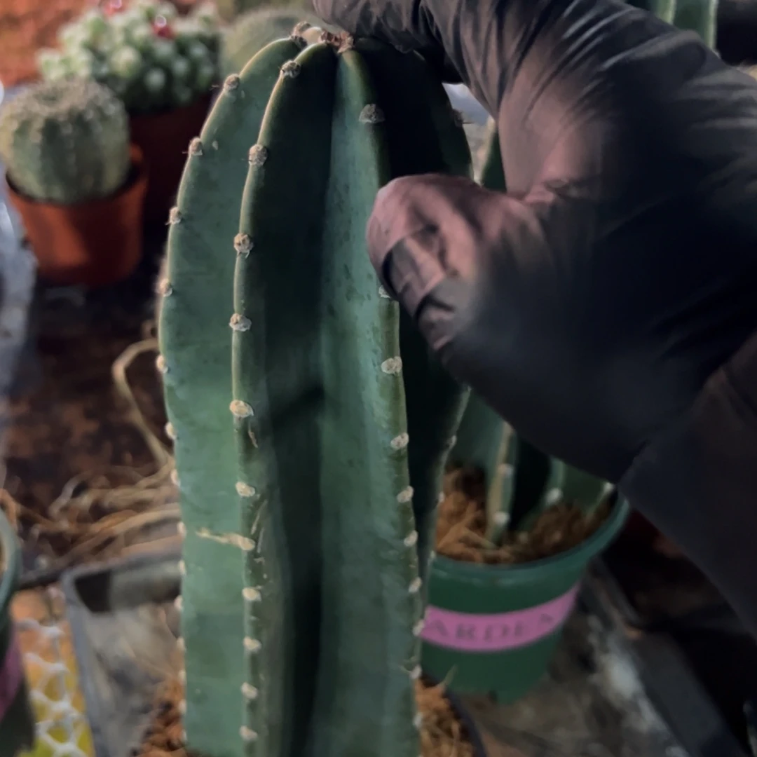 有***学哈哈哈哈哈哈哈哈哈