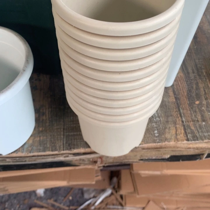 春*11个米色雪花底无瑕疵