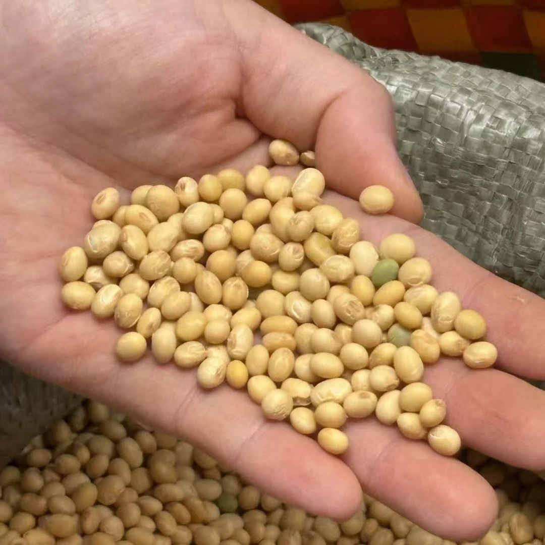 【现场收货】黄豆中国邮政食用农产品1