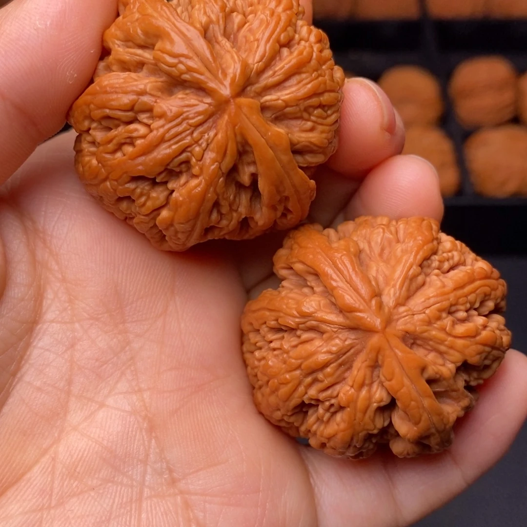 文玩核桃把件秦岭野生核桃