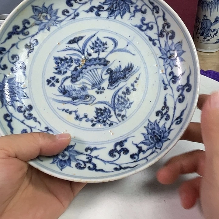 华***吉罐青花鱼藻纹盘子