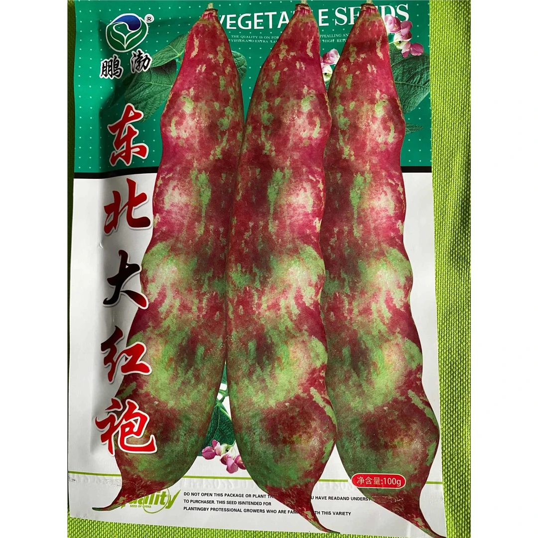 jj东北大红袍种子今年新种今年新种