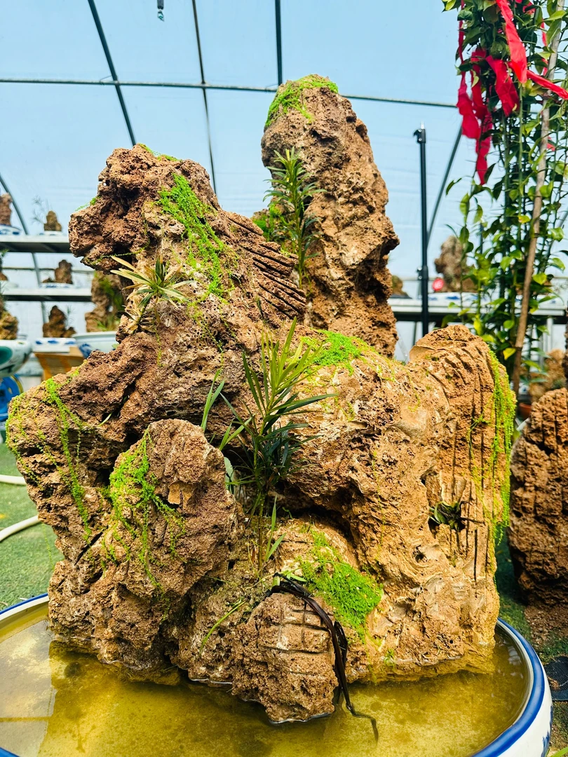 天然上水石盆景，直播间一物一拍，请按照对应金额下单