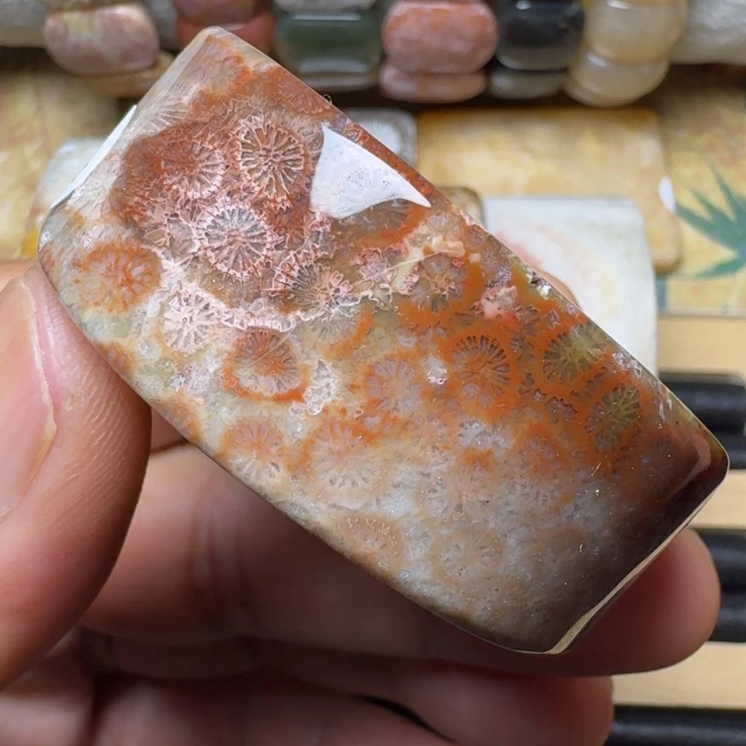 硅化玉纯天然有机玉石保真色手镯芯未镶嵌