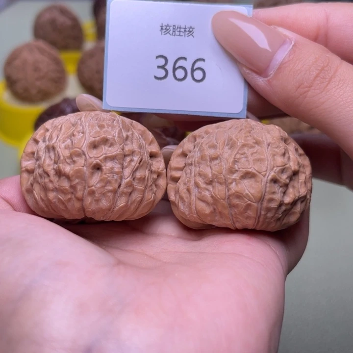 文玩核桃把件南瓜墩40.366