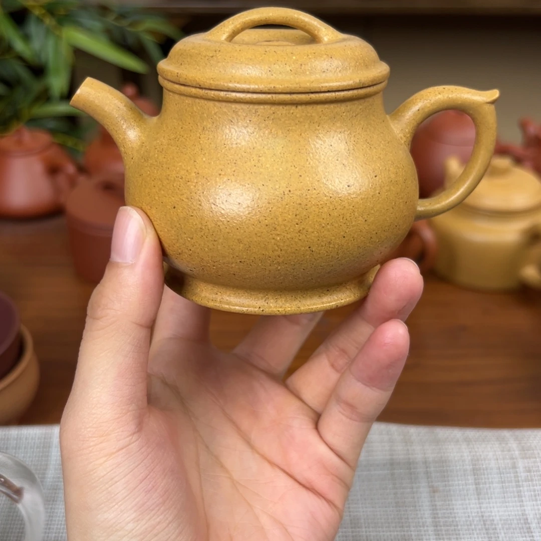 茶壶紫砂紫砂壶颂金黄金段170cc全手福利