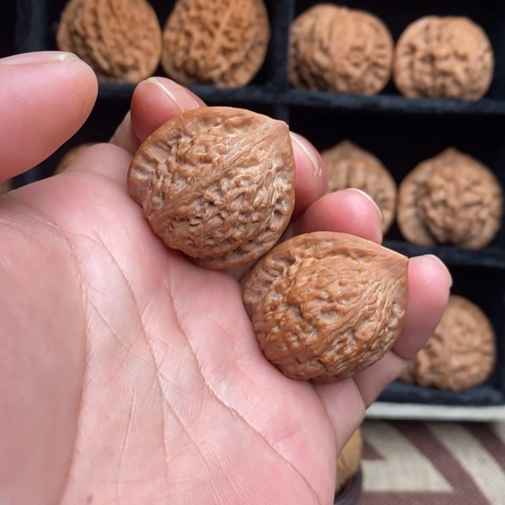 全品七步沟33尺寸