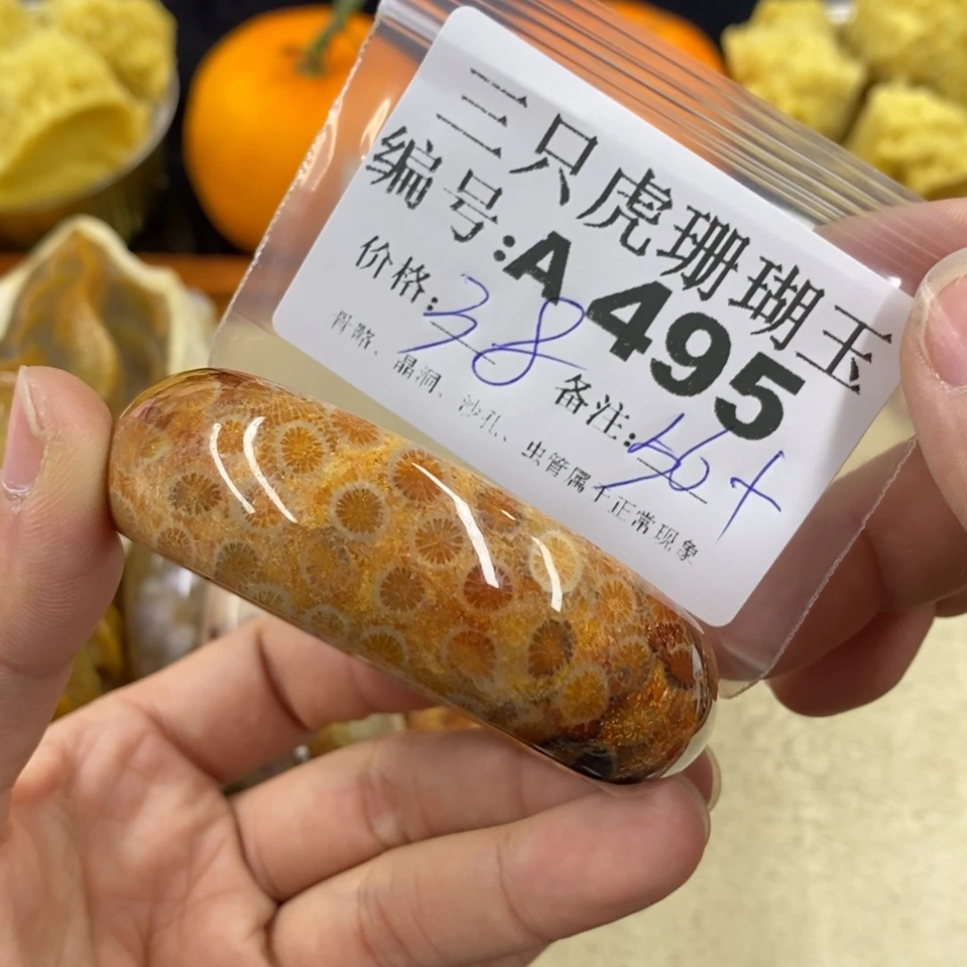 硅化珊瑚（珊瑚玉）1未镶嵌墨*