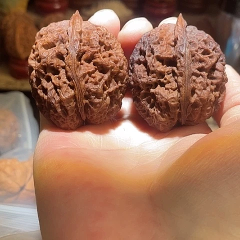 文玩核桃把件麒麟王彩阴42