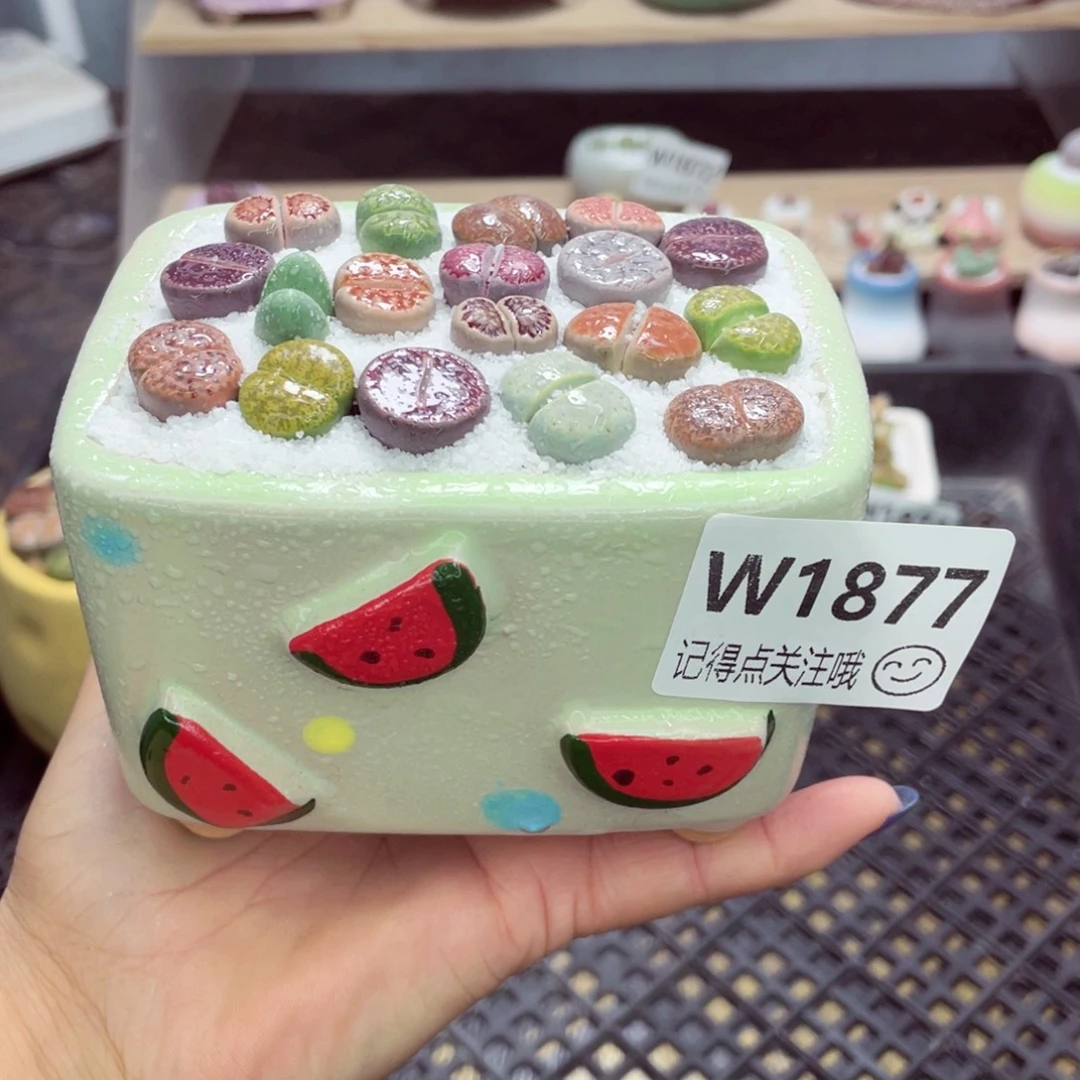 零下地区拍保温箱w1877