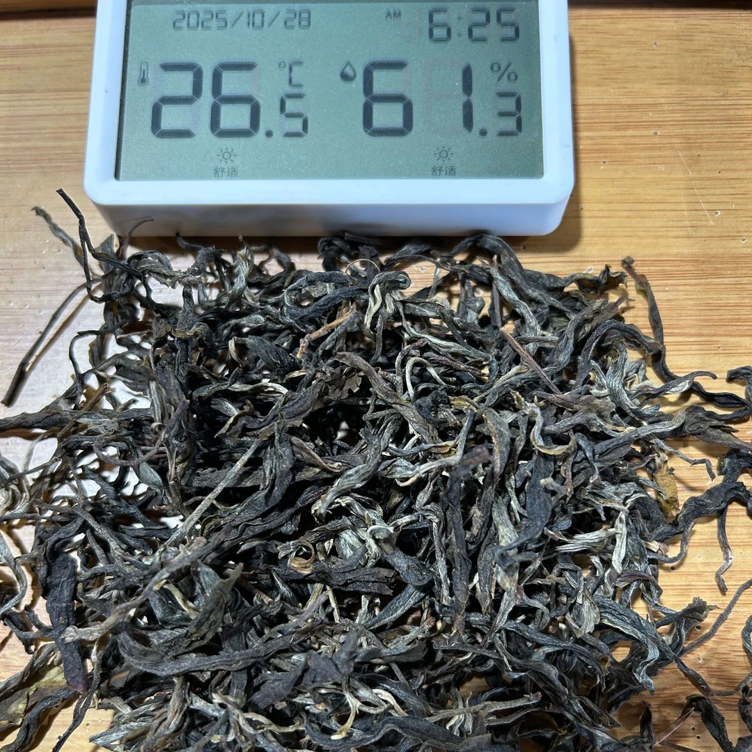 【60】02-1028//2025年坝歪散茶【生茶】