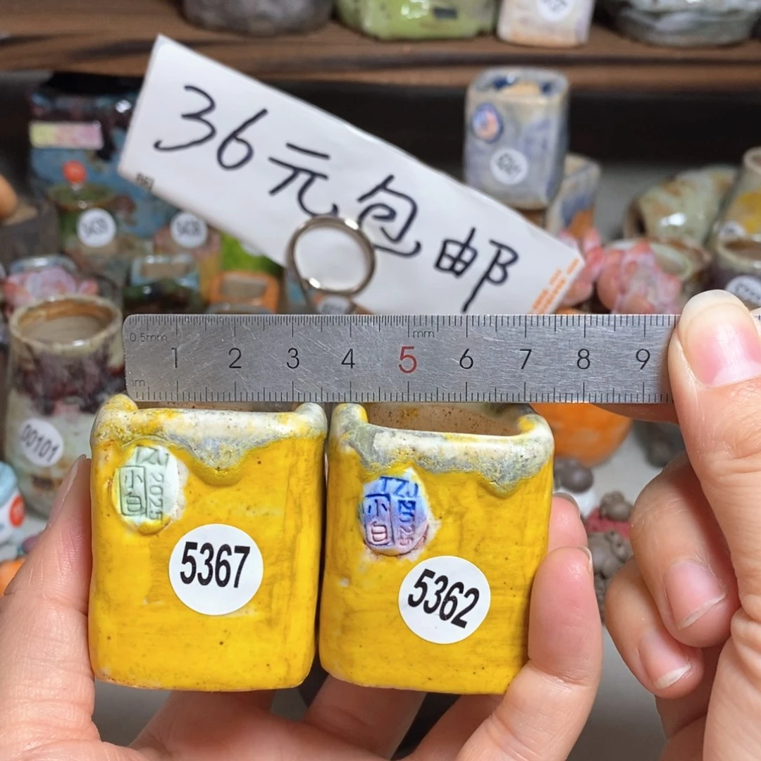 j**c拍5送一个小礼物