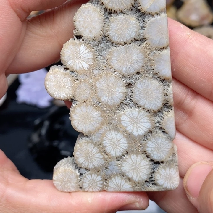 硅化珊瑚（珊瑚玉）手镯未镶嵌