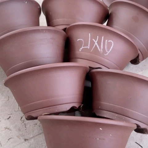 100-8。         21-10