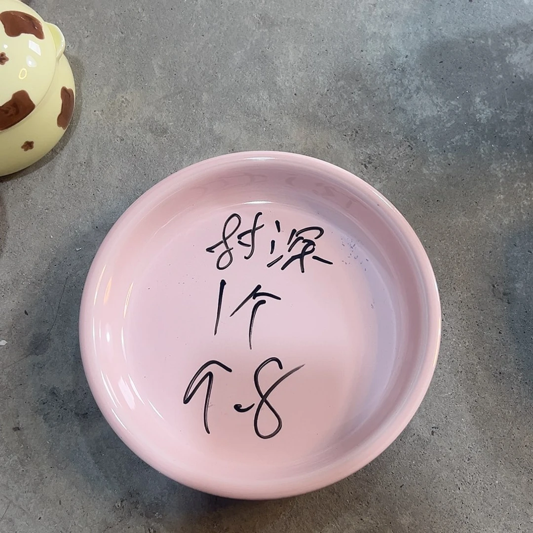 米其林8寸粉色盘子1个