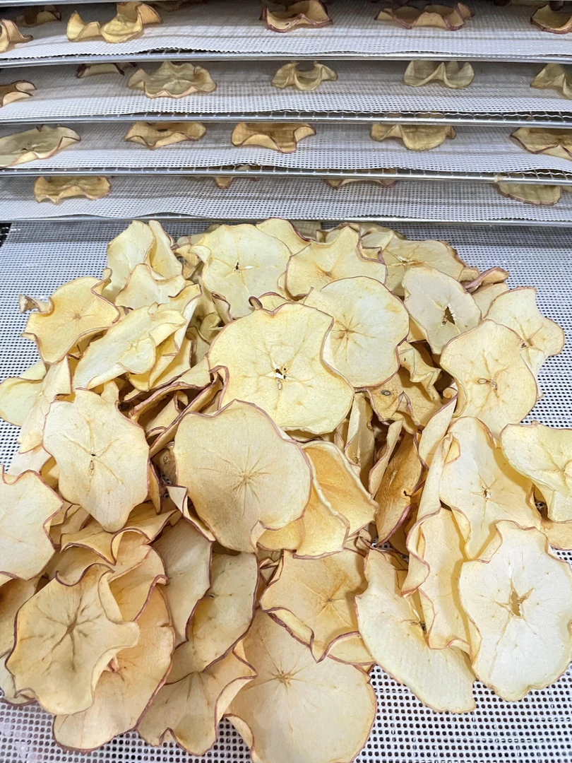 【到手半斤】新疆阿克苏苹果干泡水纯苹果片