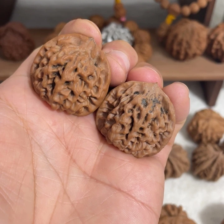 甲***春秦岭老王核桃秦闷